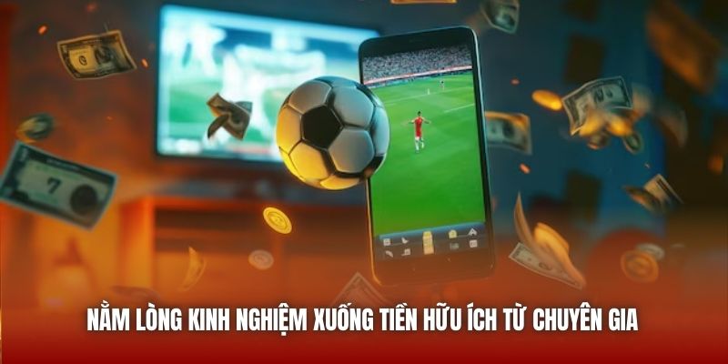 Nằm lòng kinh nghiệm xuống tiền hữu ích từ chuyên gia